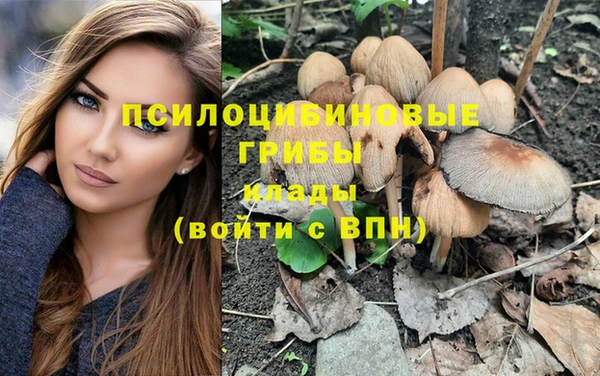 героин Белокуриха