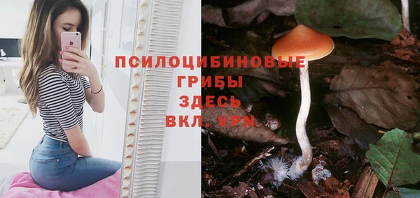 героин Белокуриха