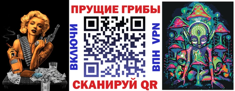 Галлюциногенные грибы Psilocybine cubensis  Волосово 